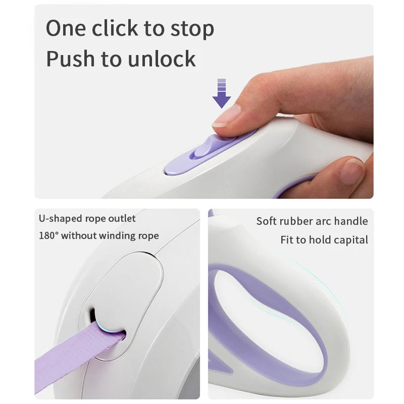 LED light pet leash