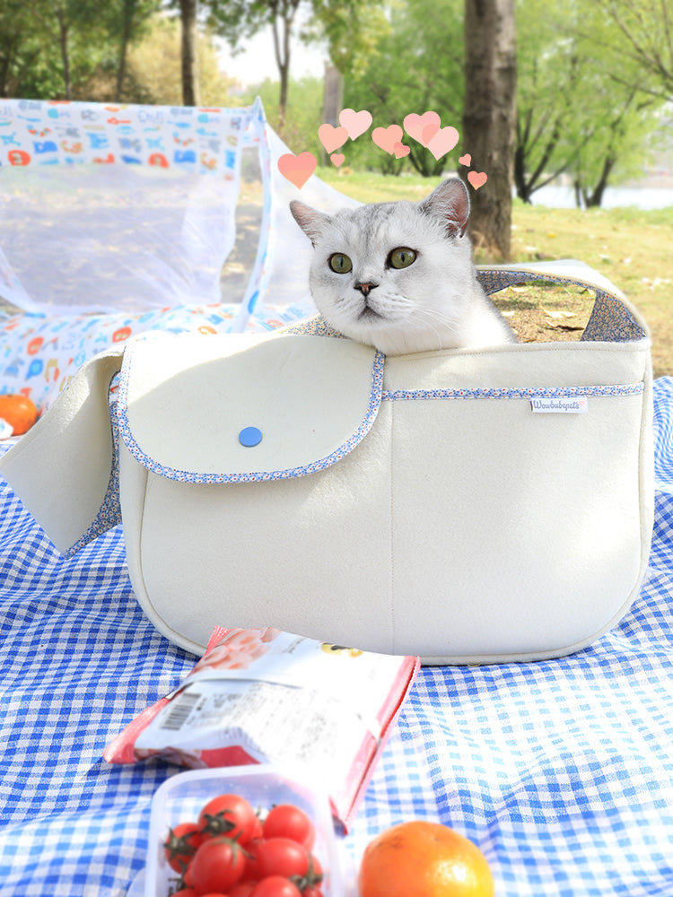 Korean Pet Bags