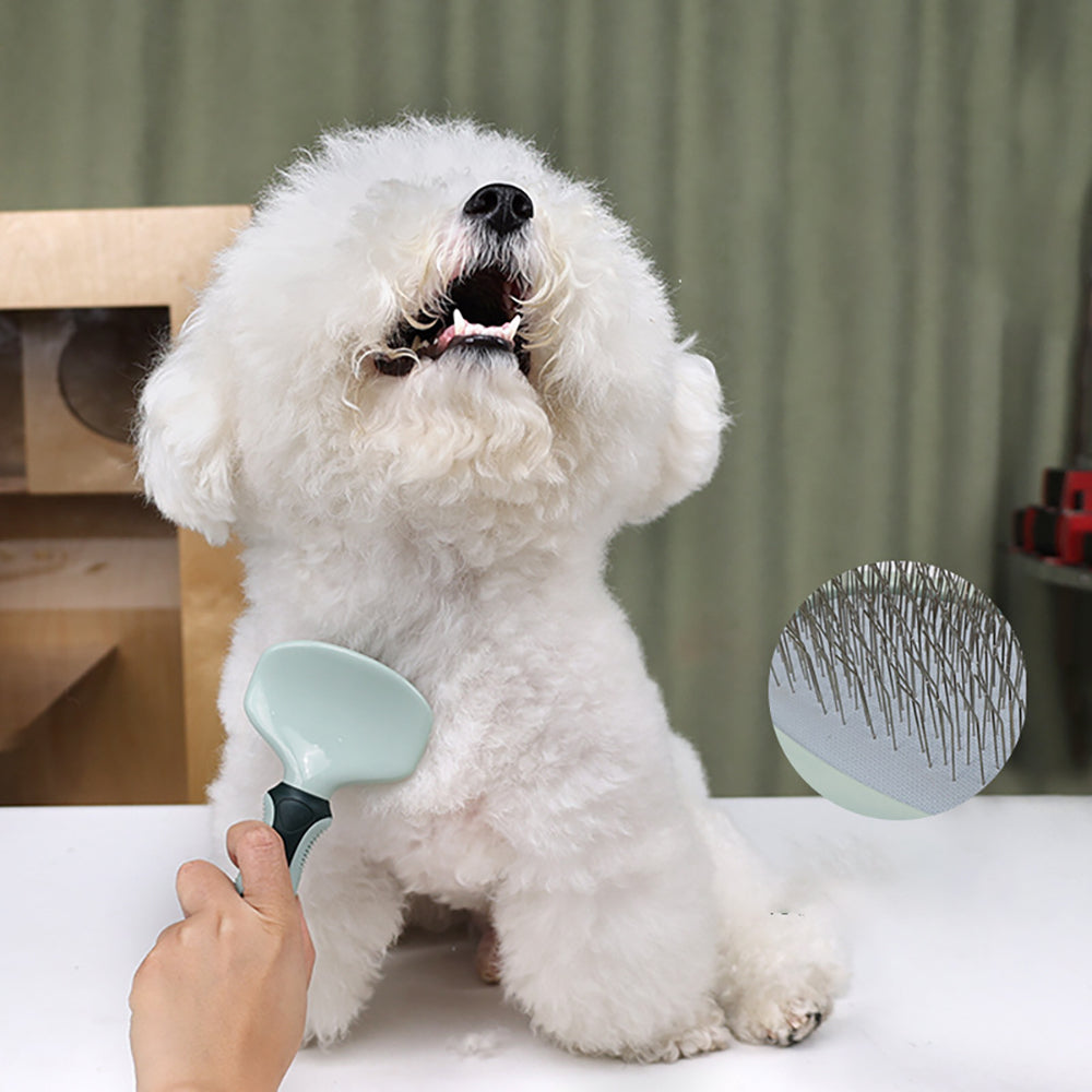 White dog being groomed with a grooming brush on a table.