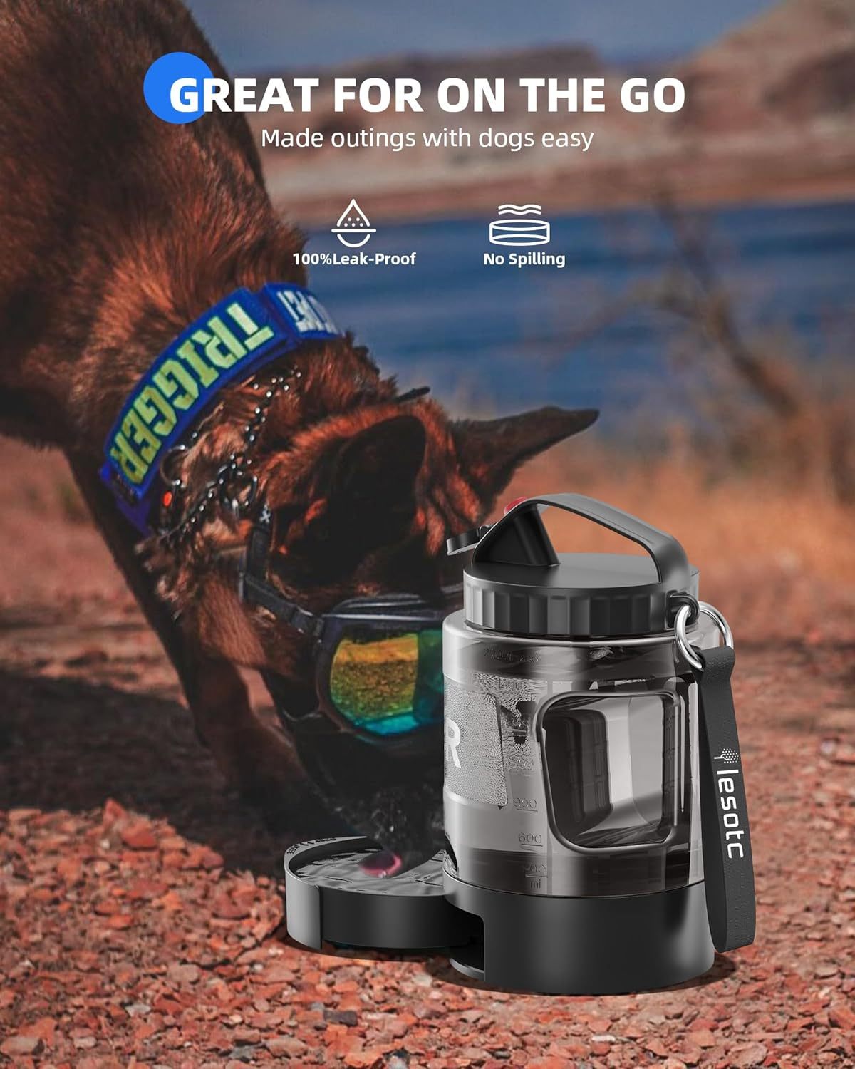 Portable Pull-out Water Bowl