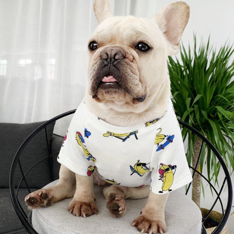 Owner-Pet matching outfit