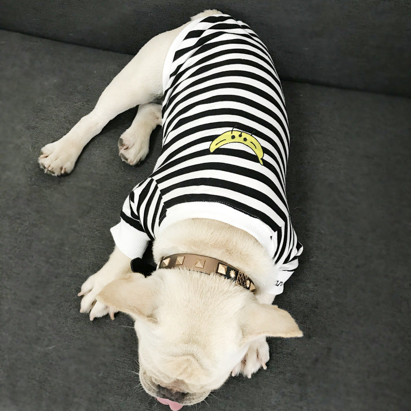 Owner-Pet matching outfit