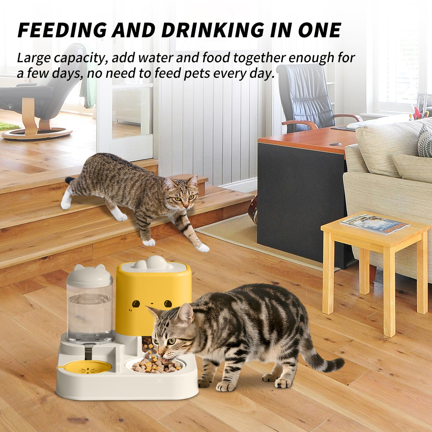 Feeding And Water bowl