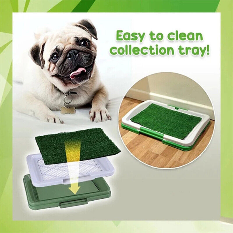 Pet Indoor Mat Restroom