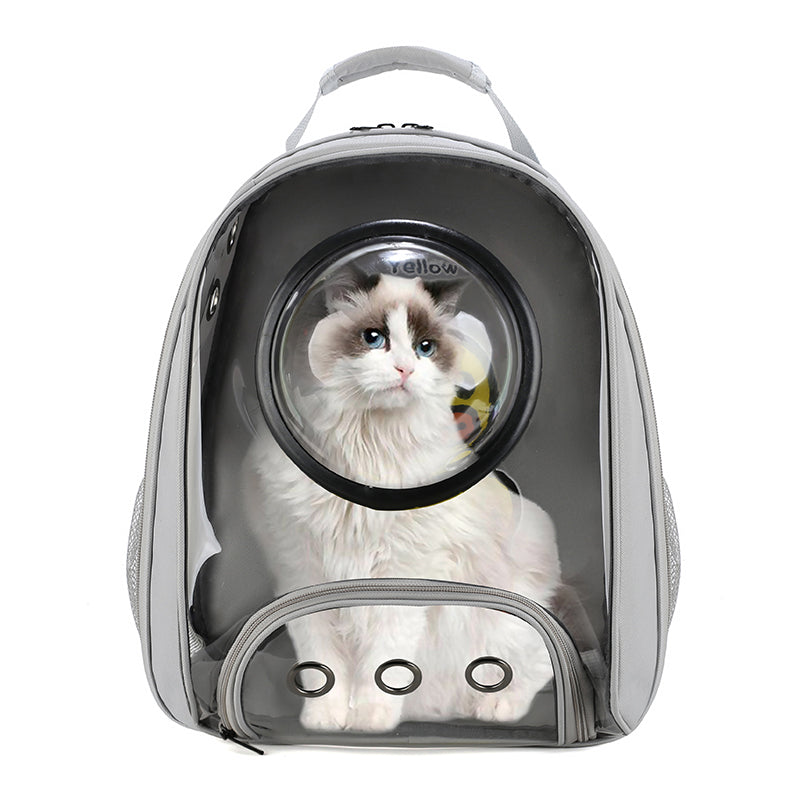 Fashionable Transparent Pet Bag - Travel Backpack Bags