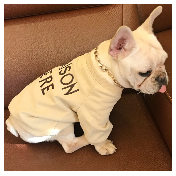 Owner-Pet matching outfit