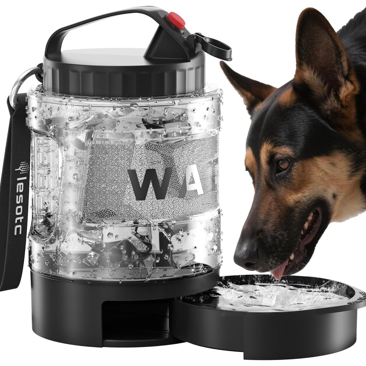Portable Pull-out Water Bowl