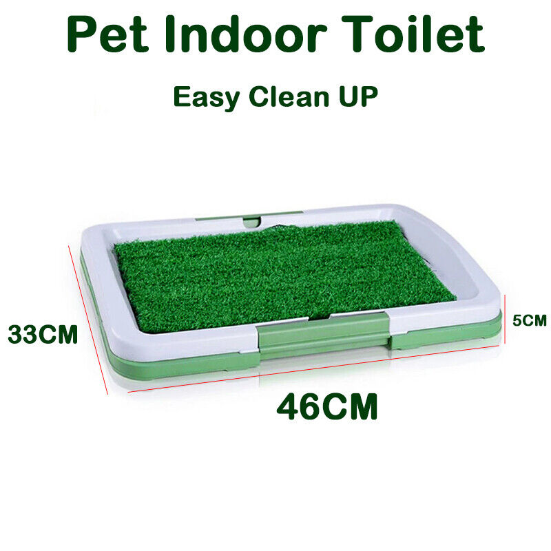 Pet Indoor Mat Restroom