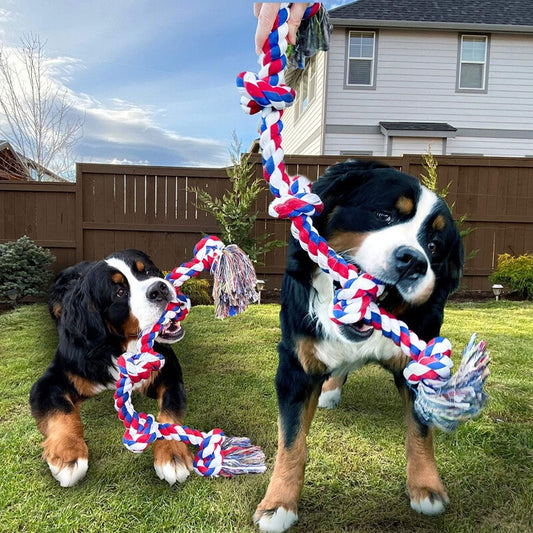 Dog Rope Toys ( XXL)