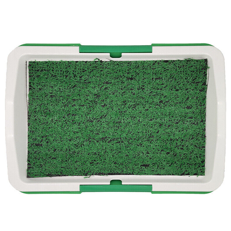 Pet Indoor Mat Restroom
