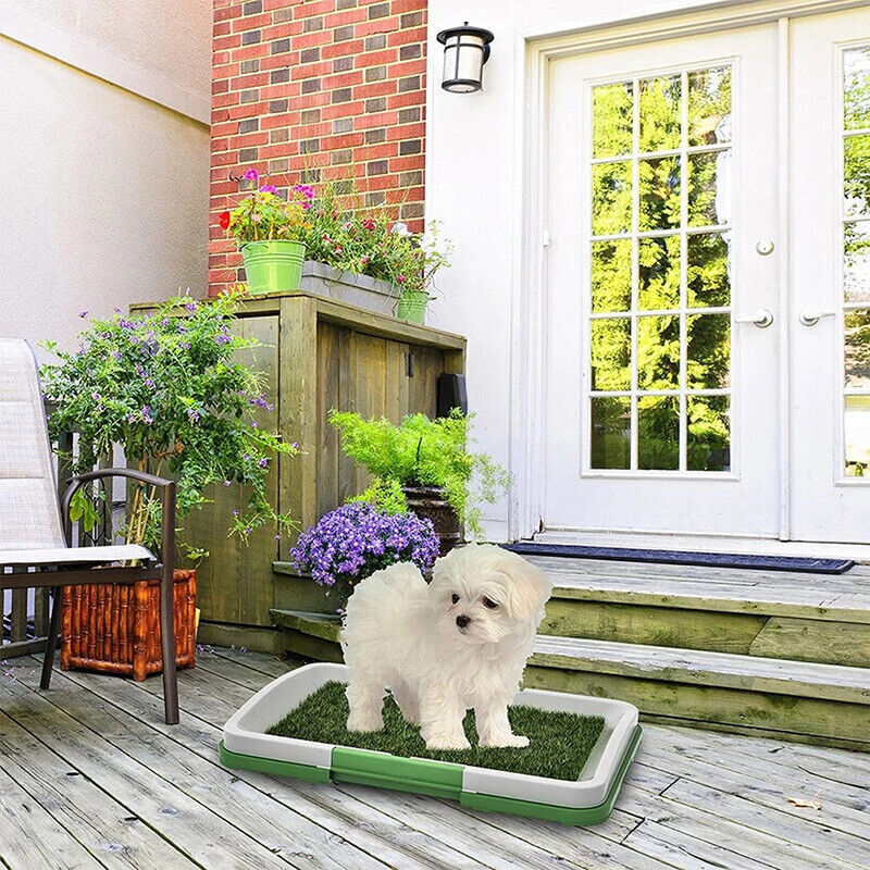Pet Indoor Mat Restroom