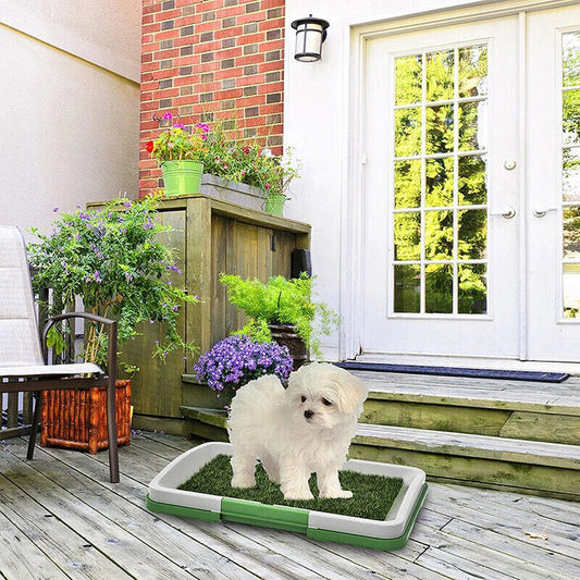 Pet Indoor Mat Restroom