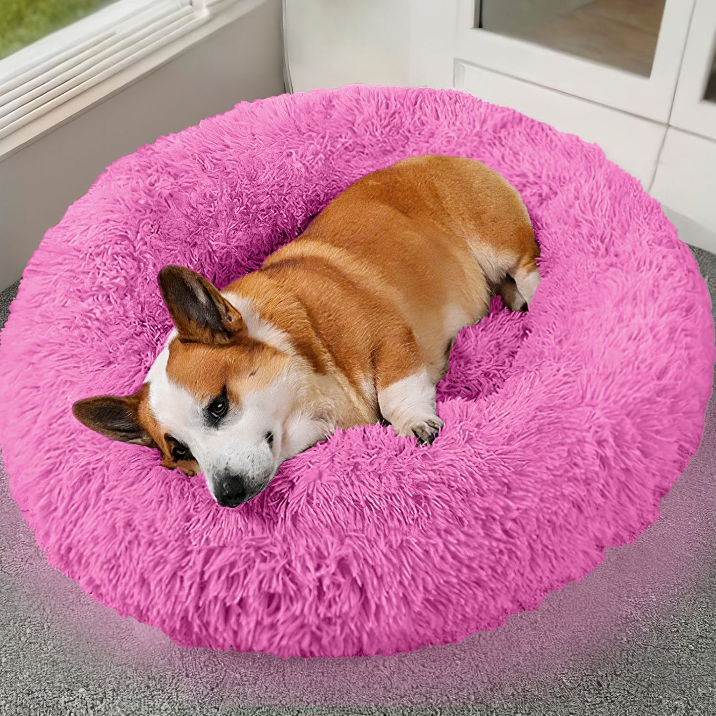 Pet Soft Bed