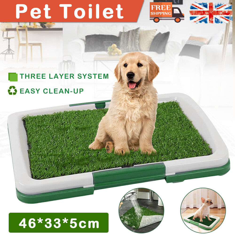 Pet Indoor Mat Restroom