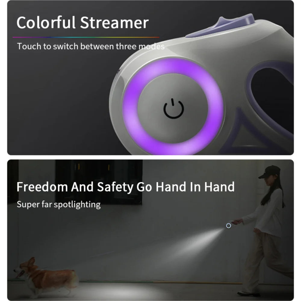 LED light pet leash