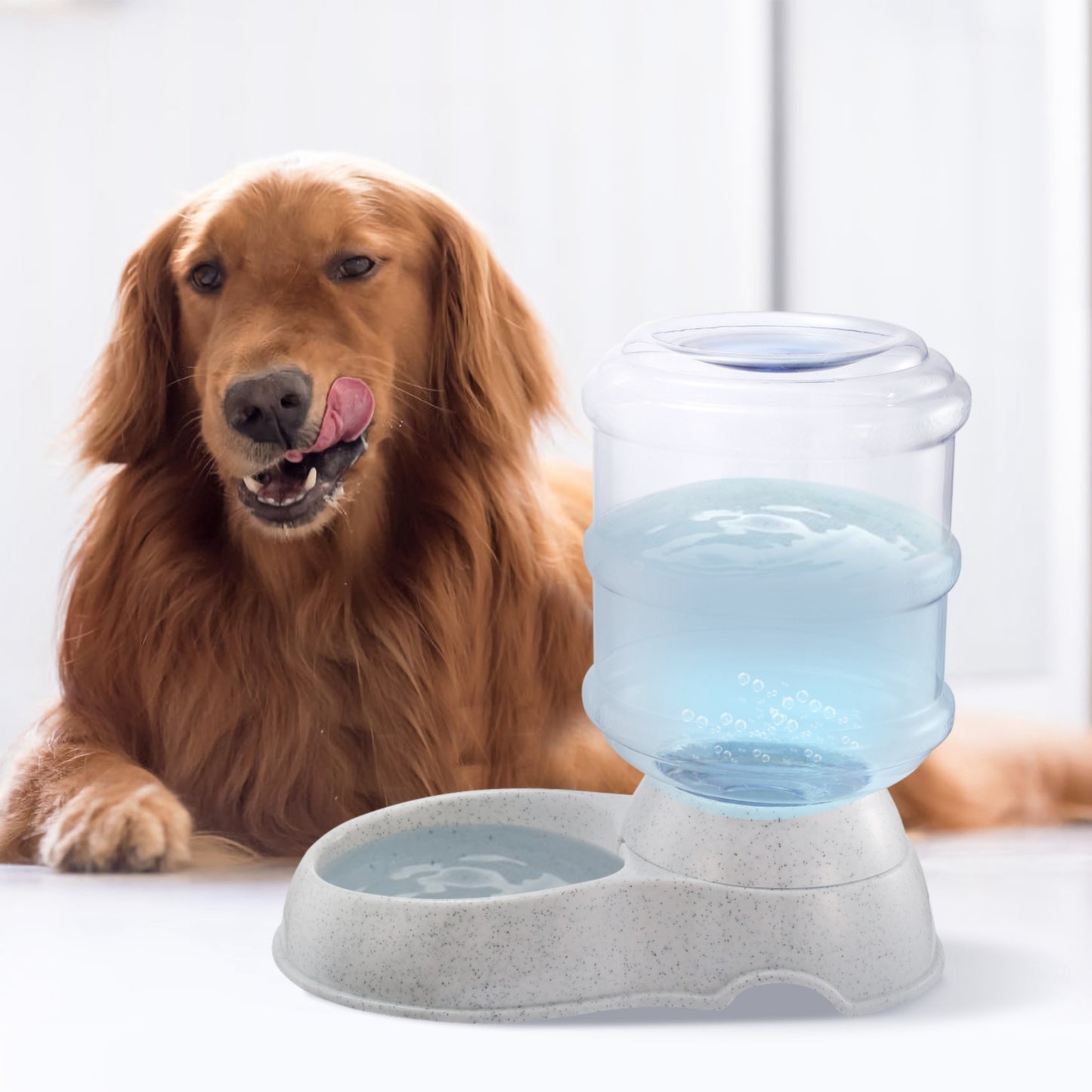 1Gal Pet Water Dispenser