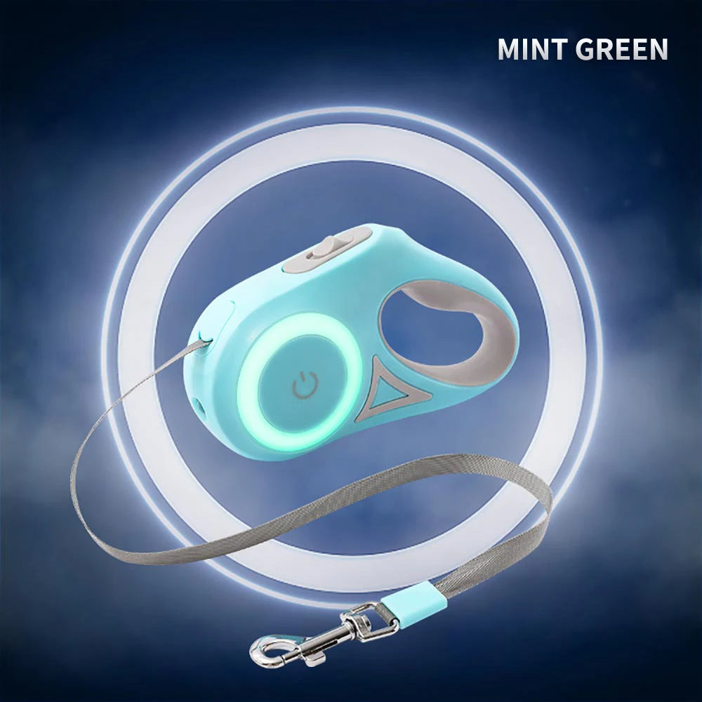 LED light pet leash