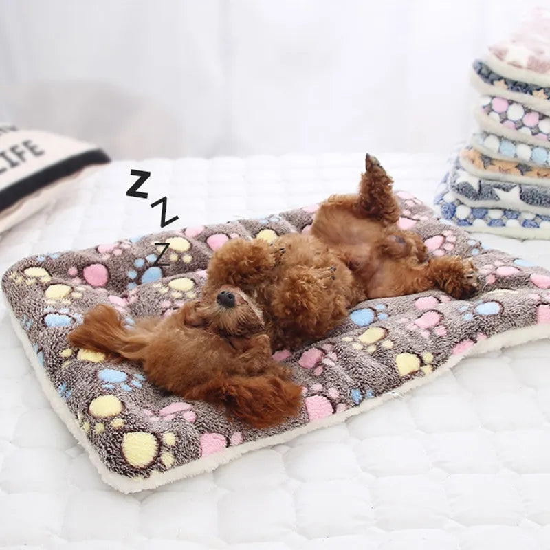 Pets Bed