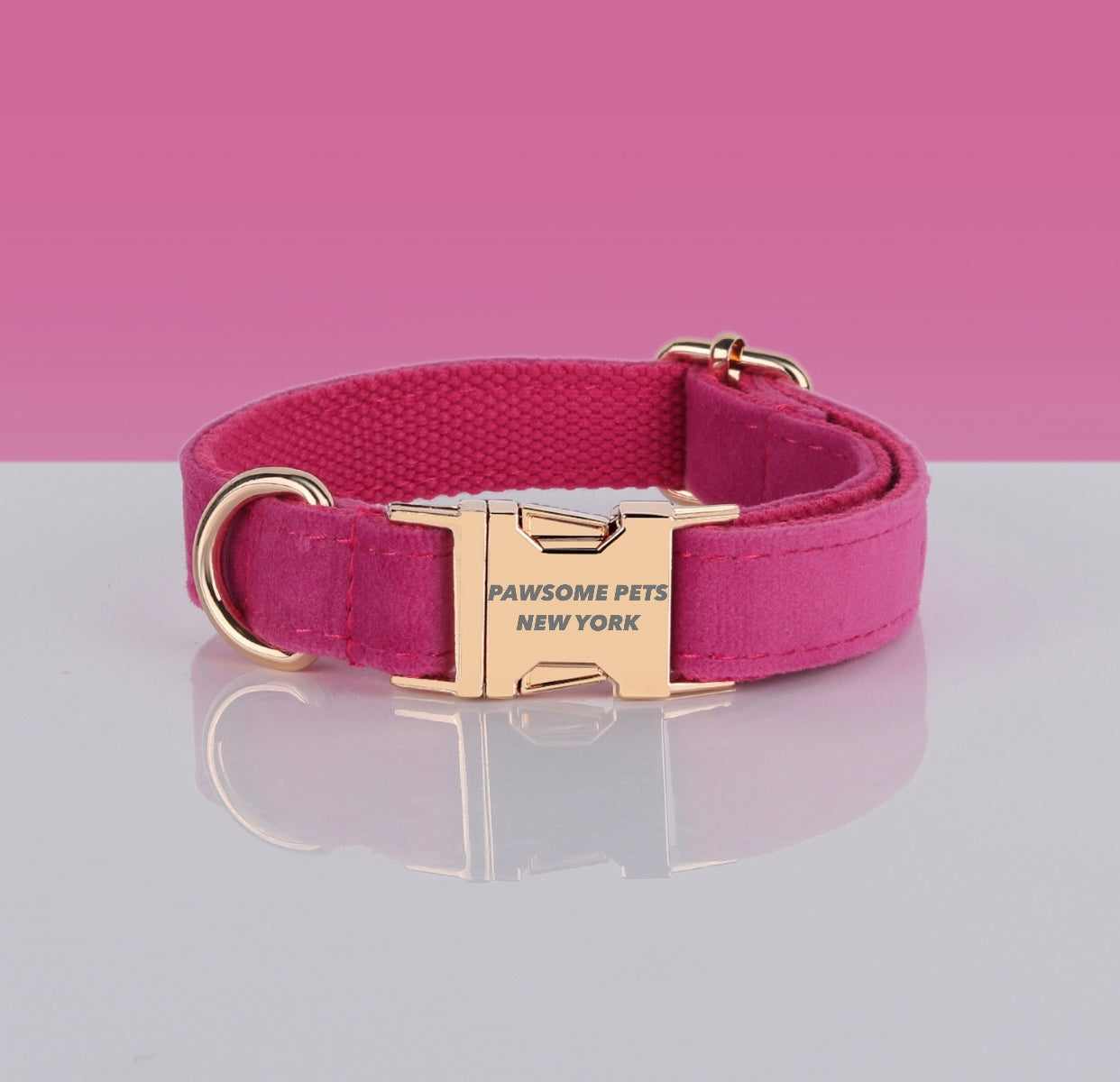 Fashionable Dog Collar