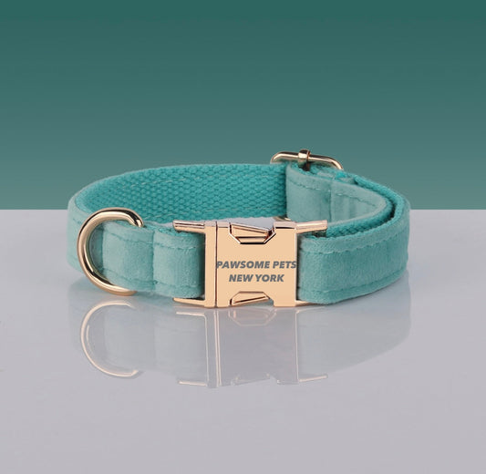 Fashionable Dog Collar
