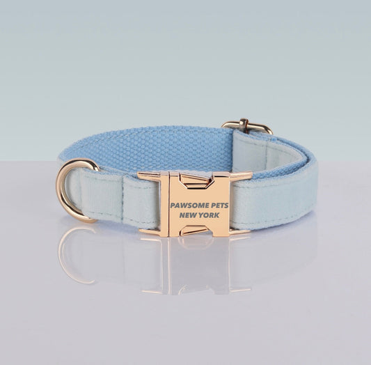 Fashionable Dog Collar