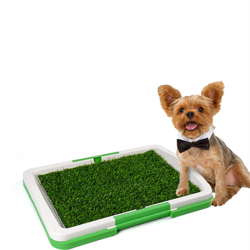 Pet Indoor Mat Restroom