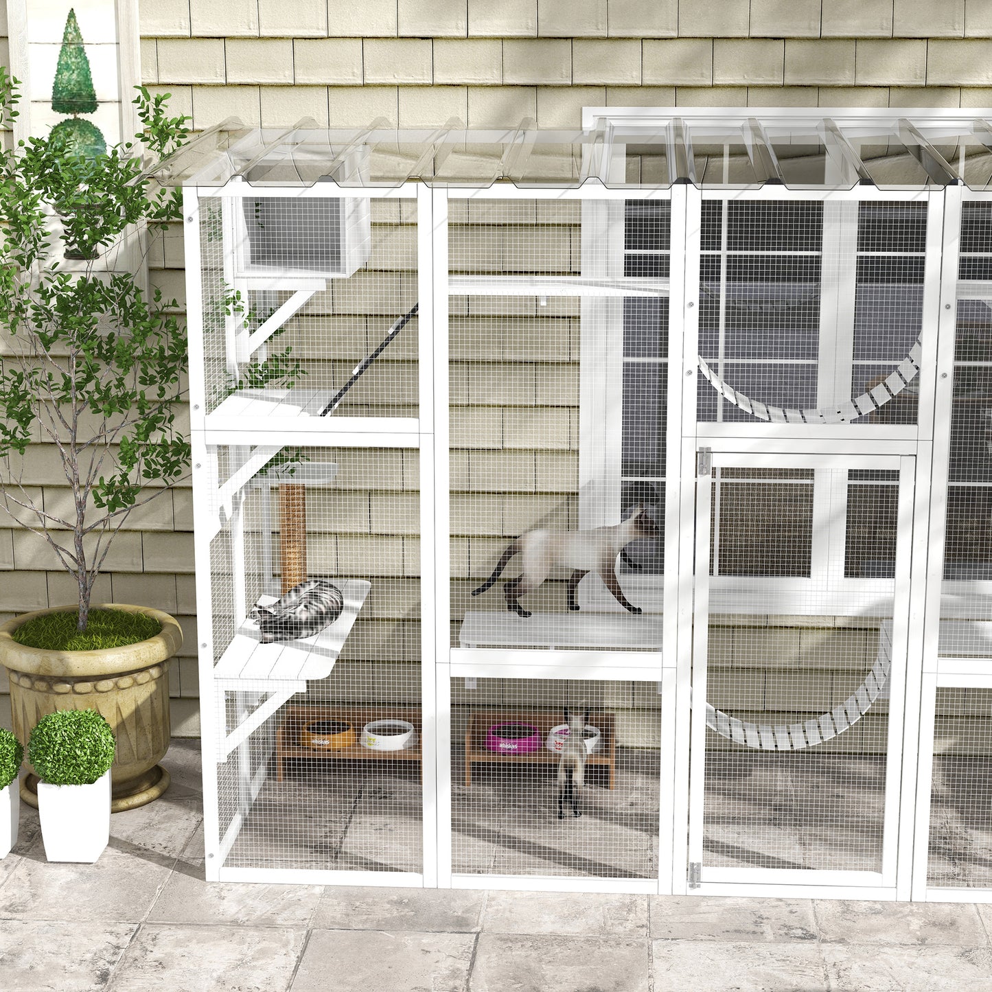 Cat Window Box