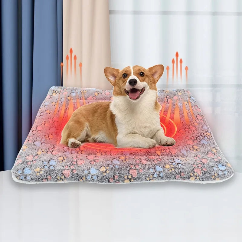 Pets Bed