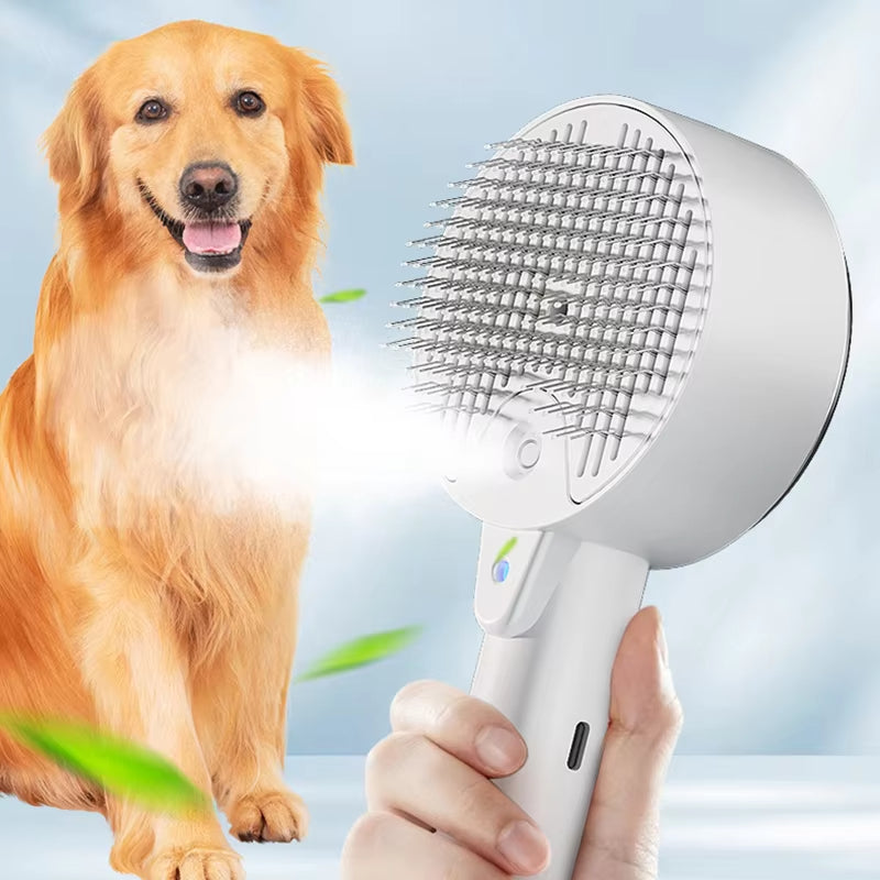 Steamy Brush