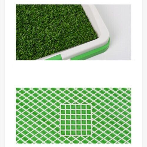 Pet Indoor Mat Restroom