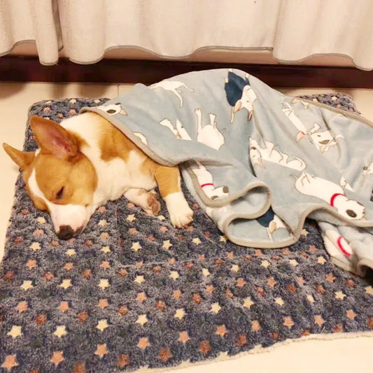 Pets Bed