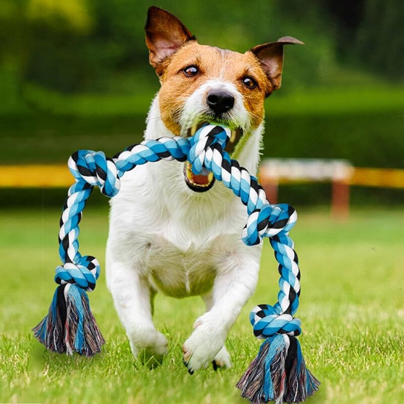 Dog Rope Toys ( XXL)