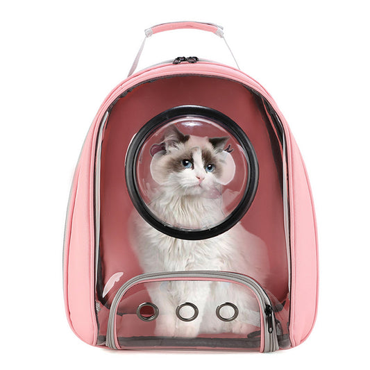 Fashionable Transparent Pet Bag - Travel Backpack Bags
